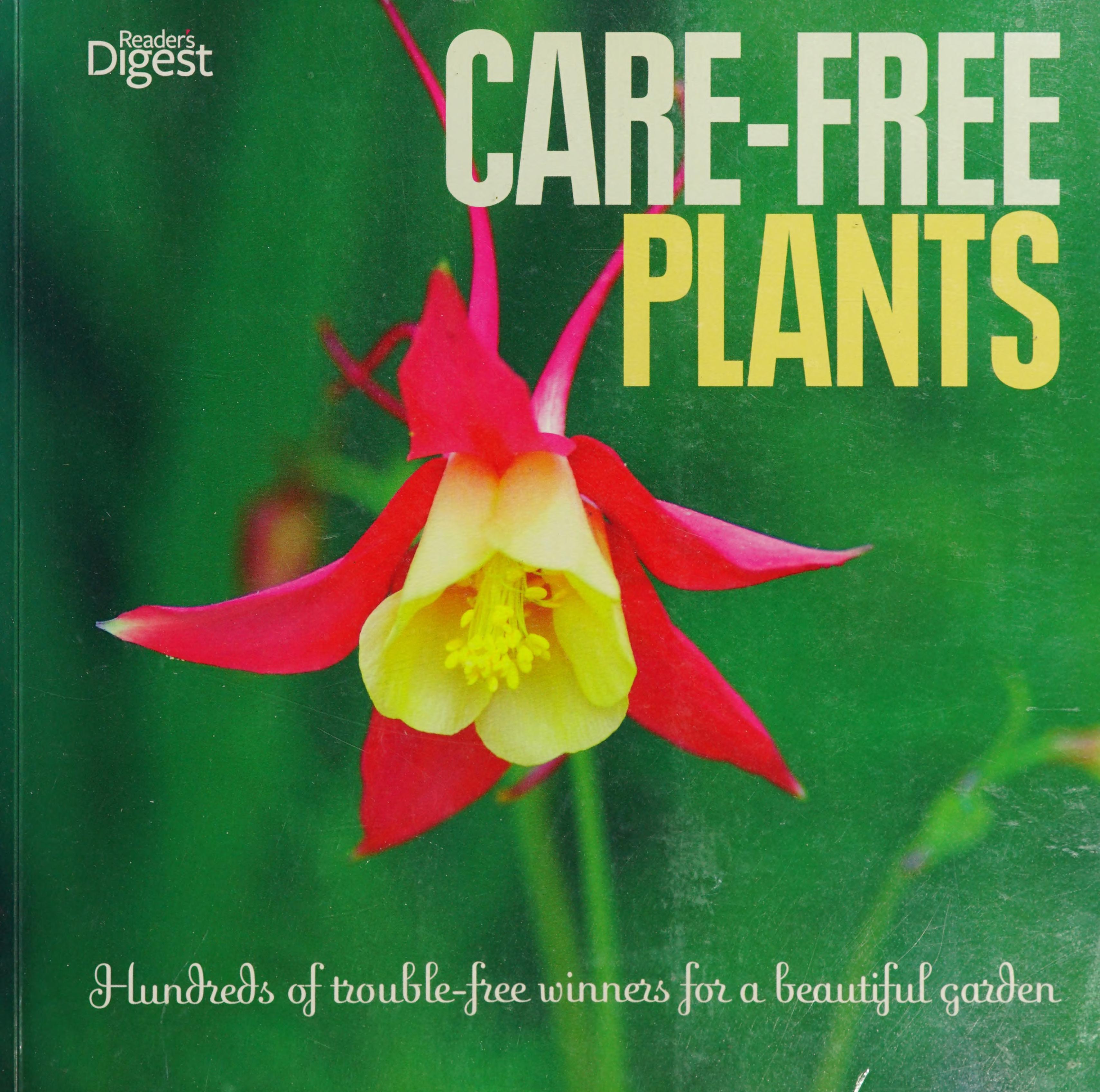 Care-Free Plants