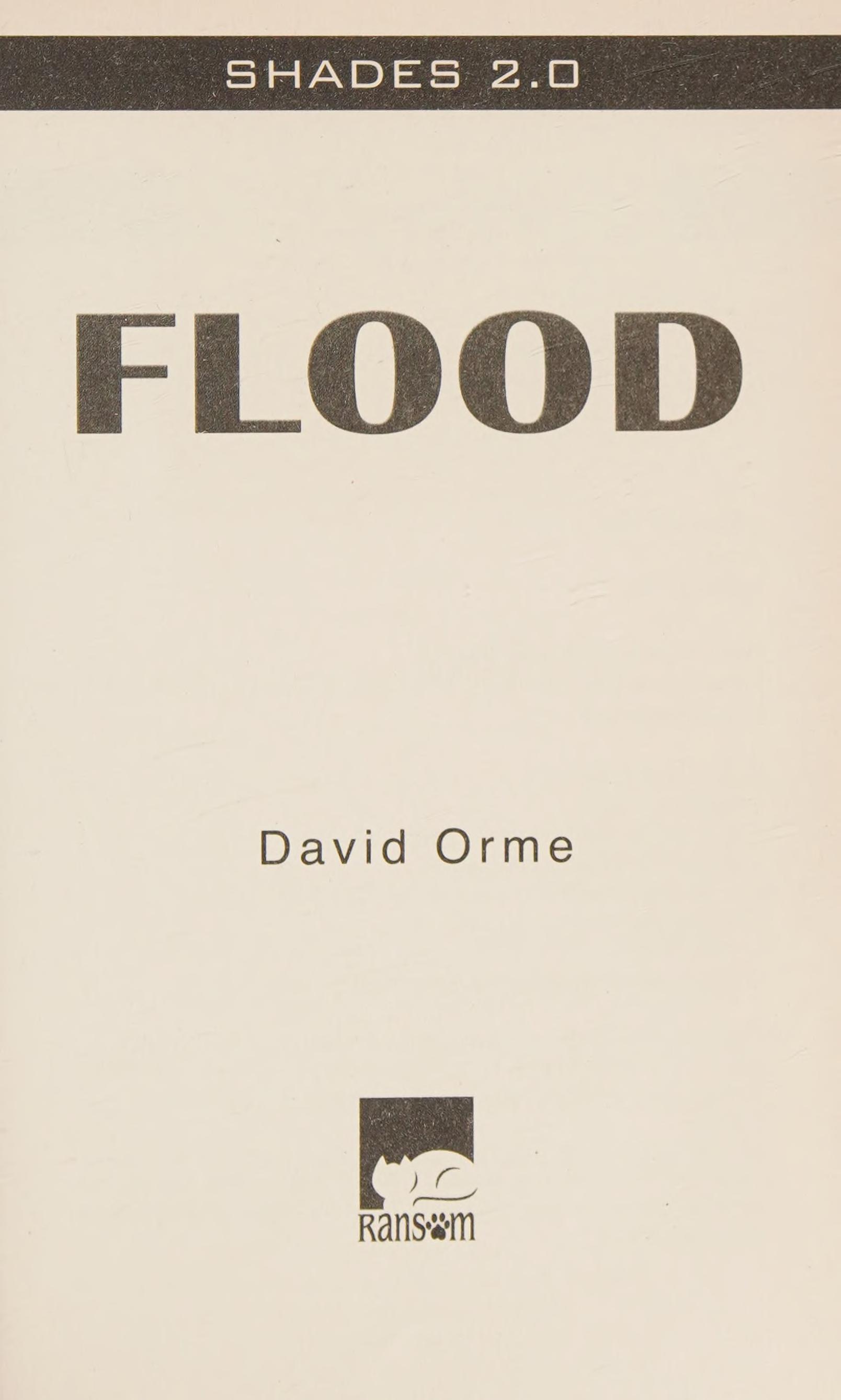 Flood
