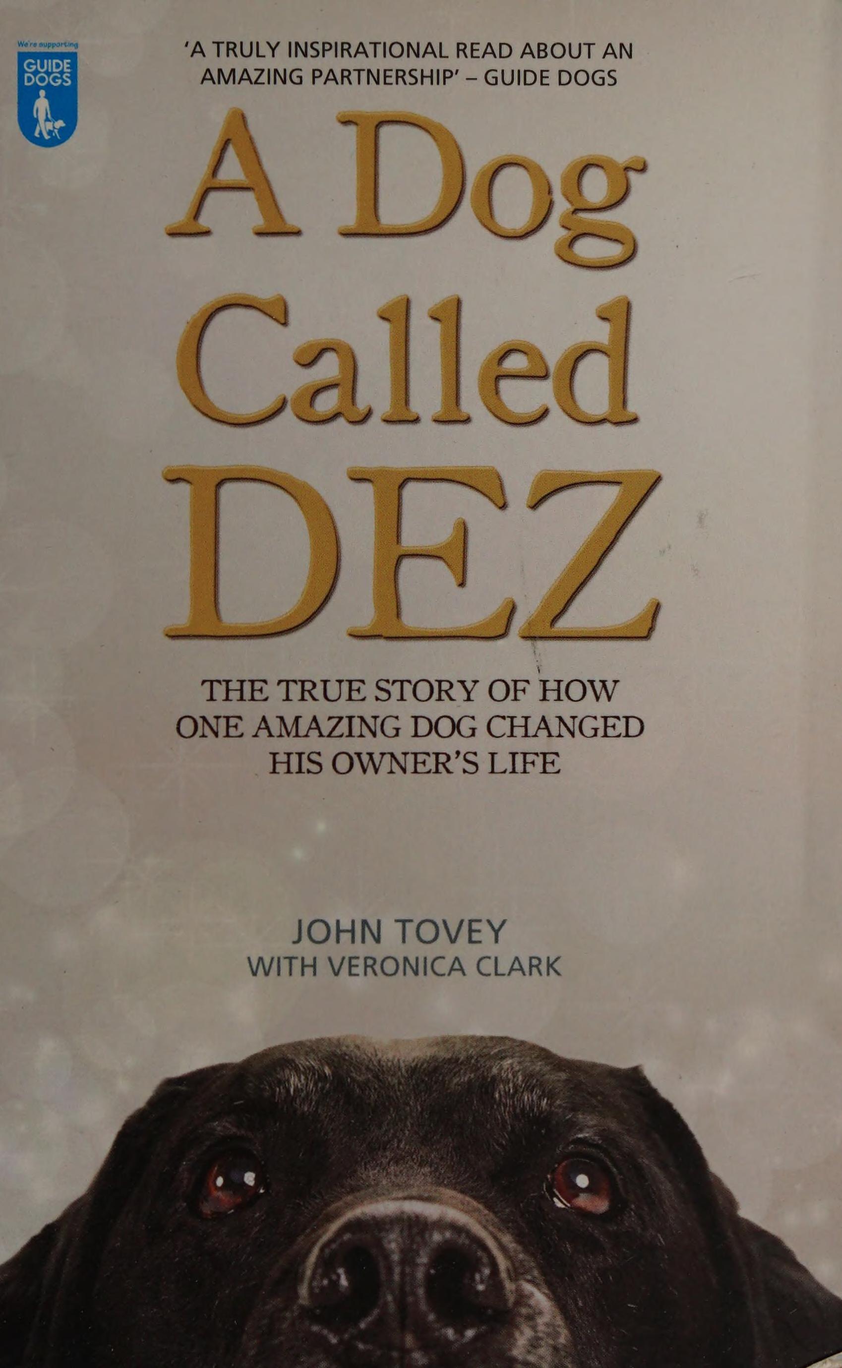 A dog called Dez