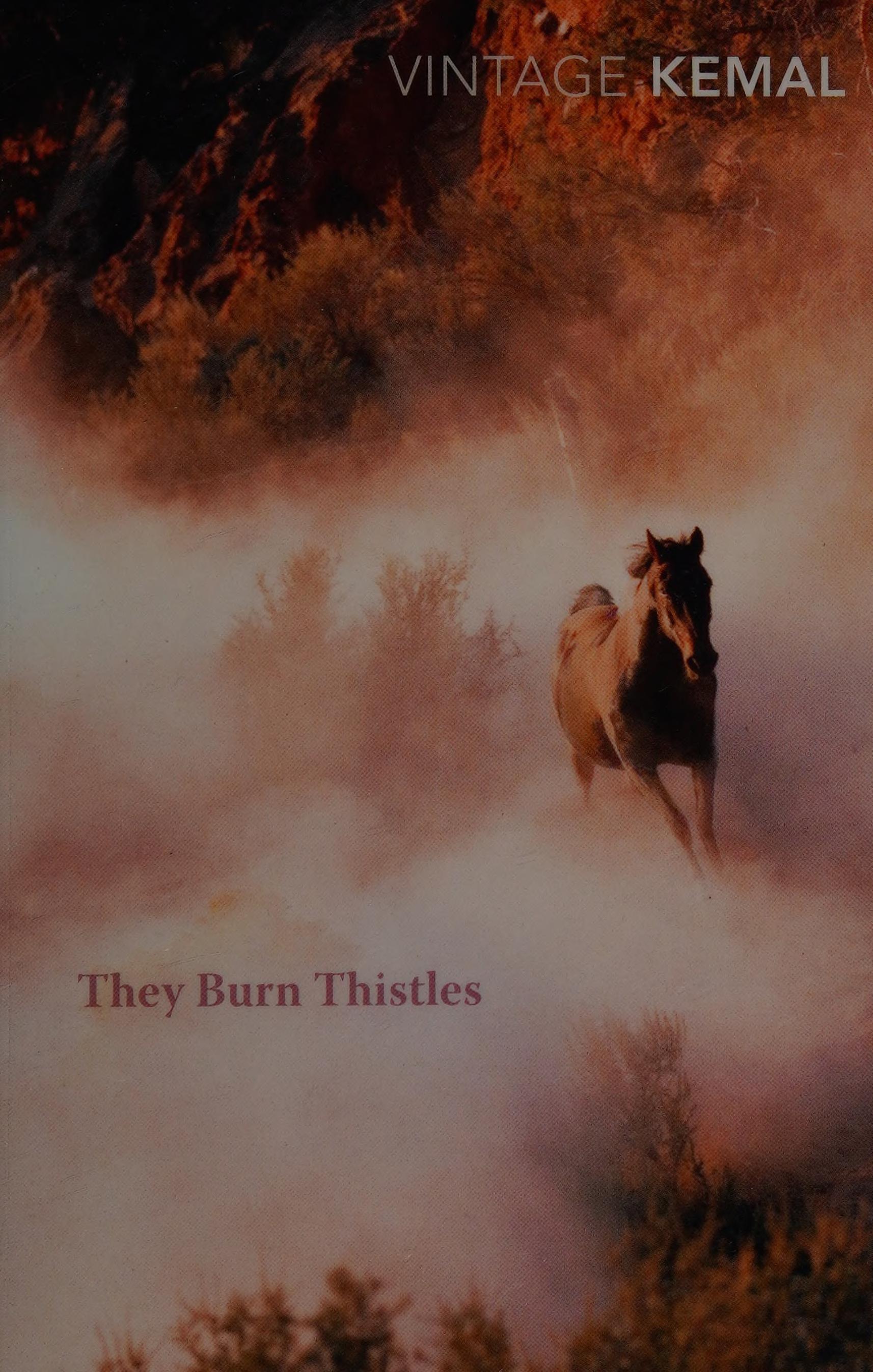 They Burn Thistles