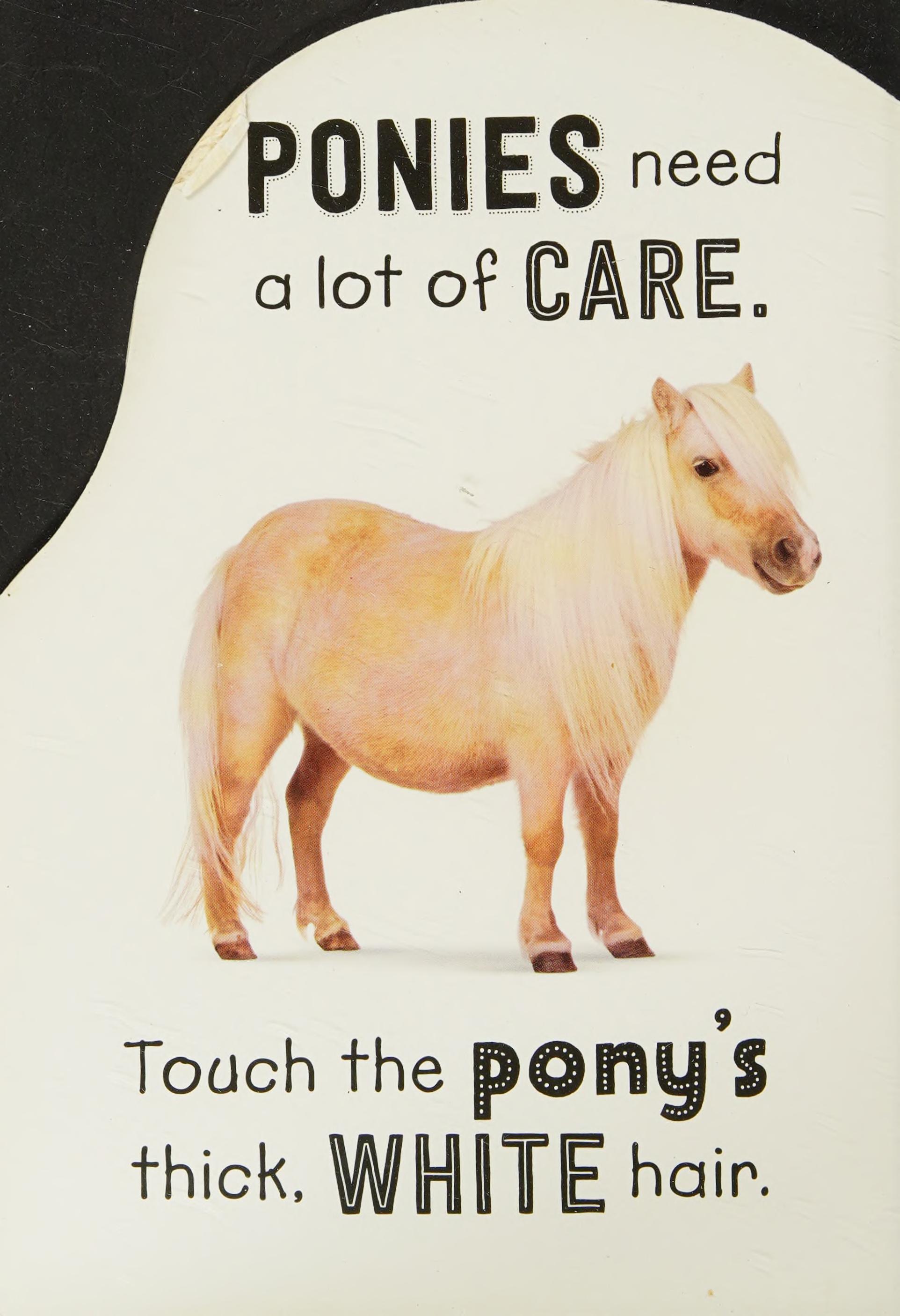 Touch and Sparkle Farm Animals