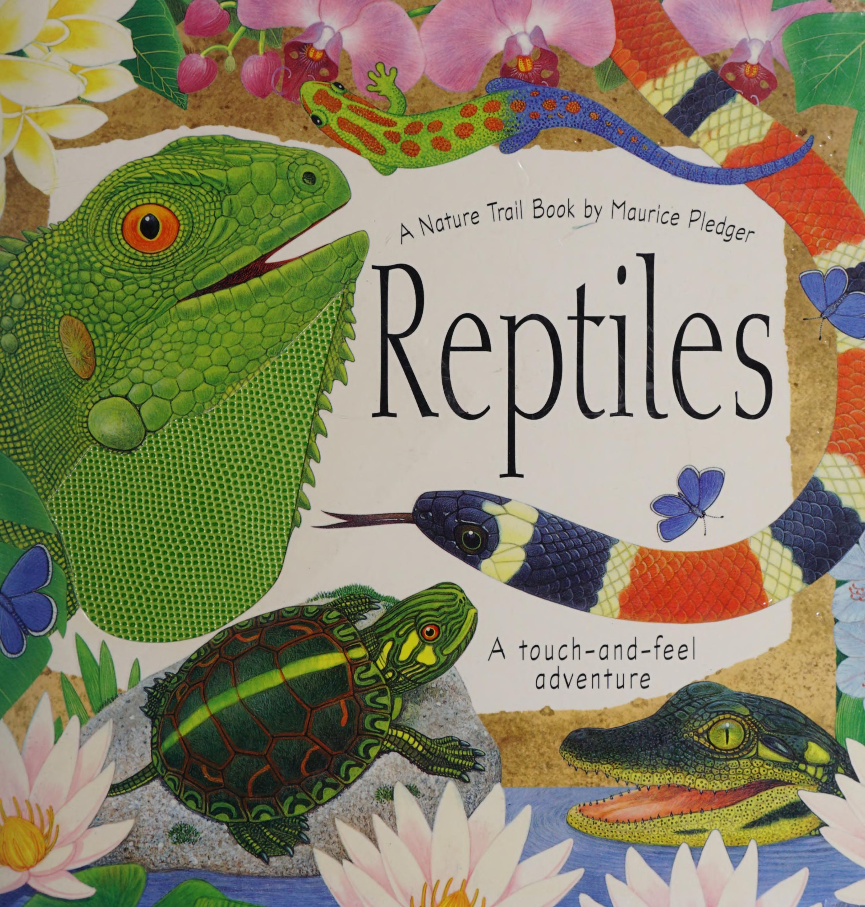 Reptiles