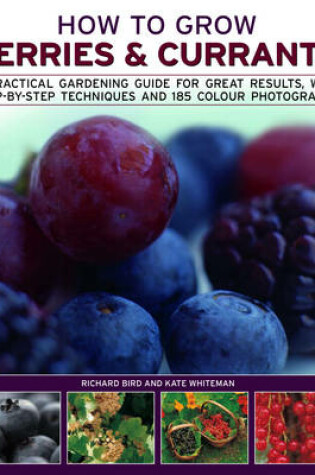 How to Grow Berries & Currants