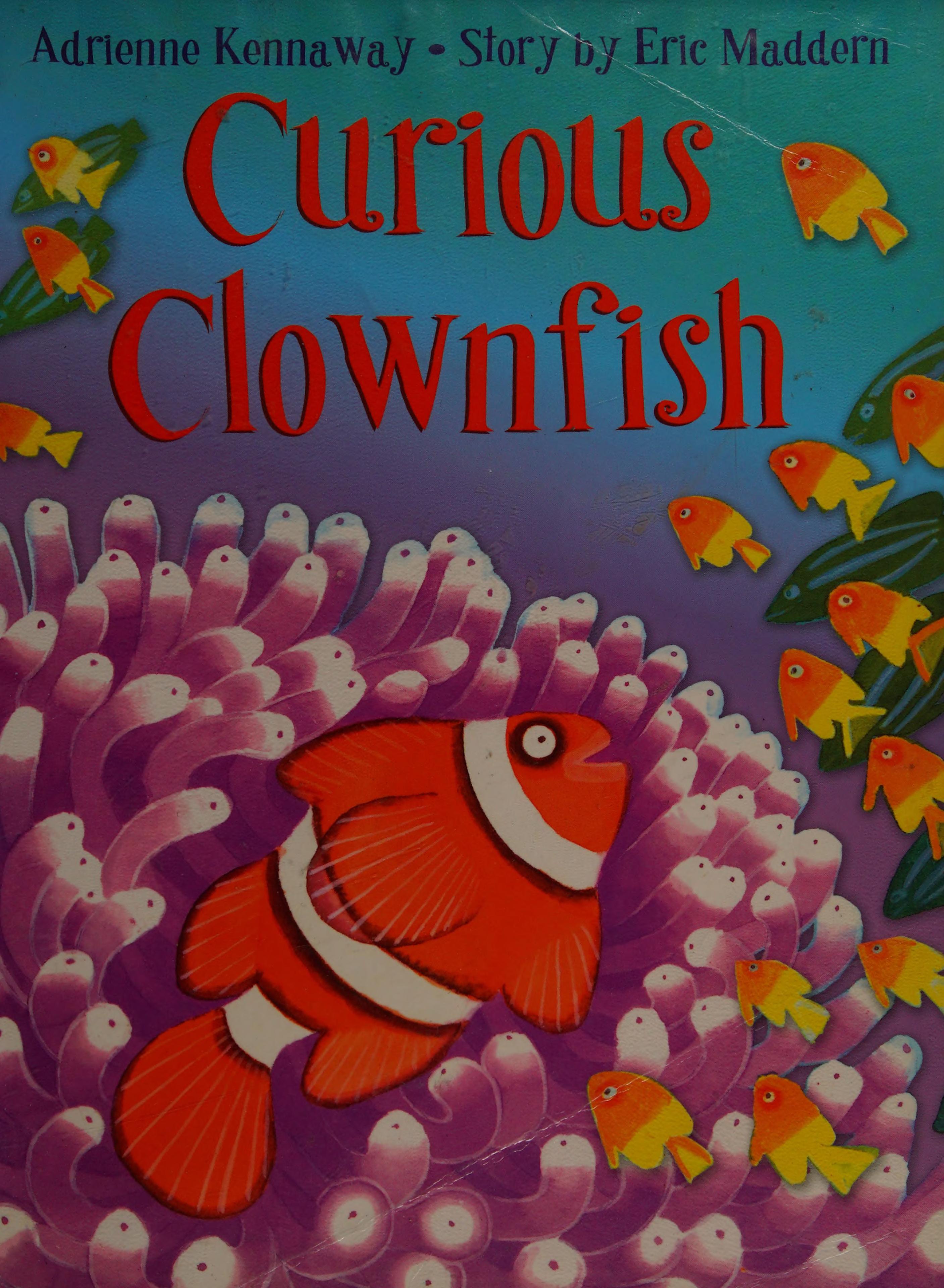 Curious Clownfish