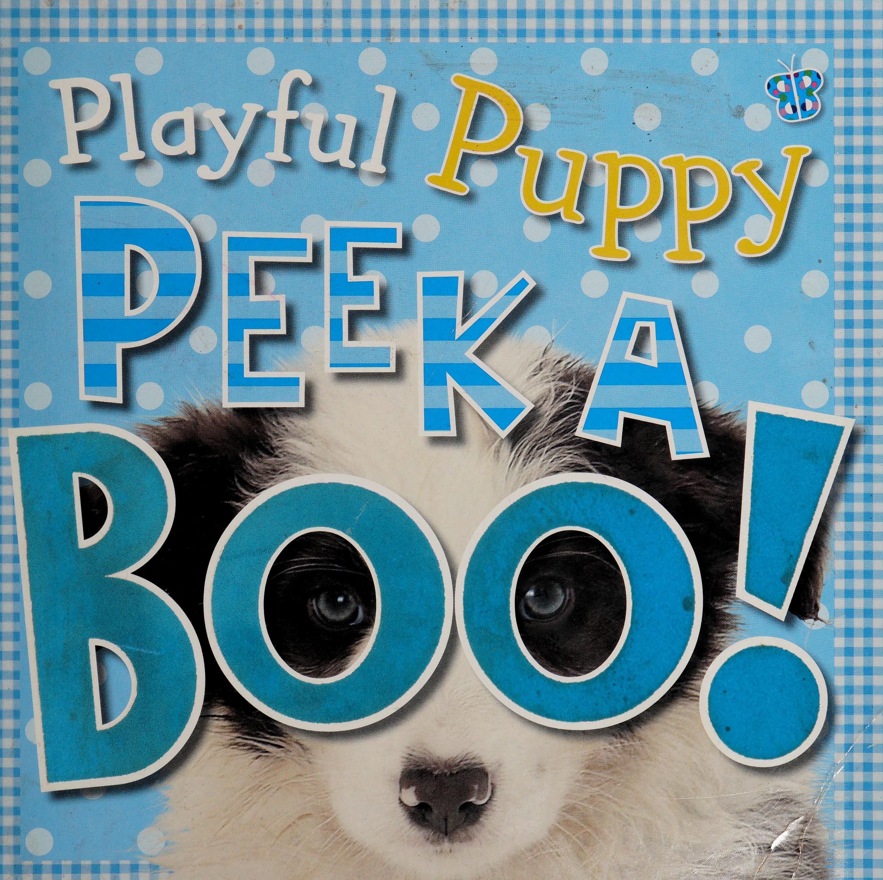 Playful Puppy Peek a Boo