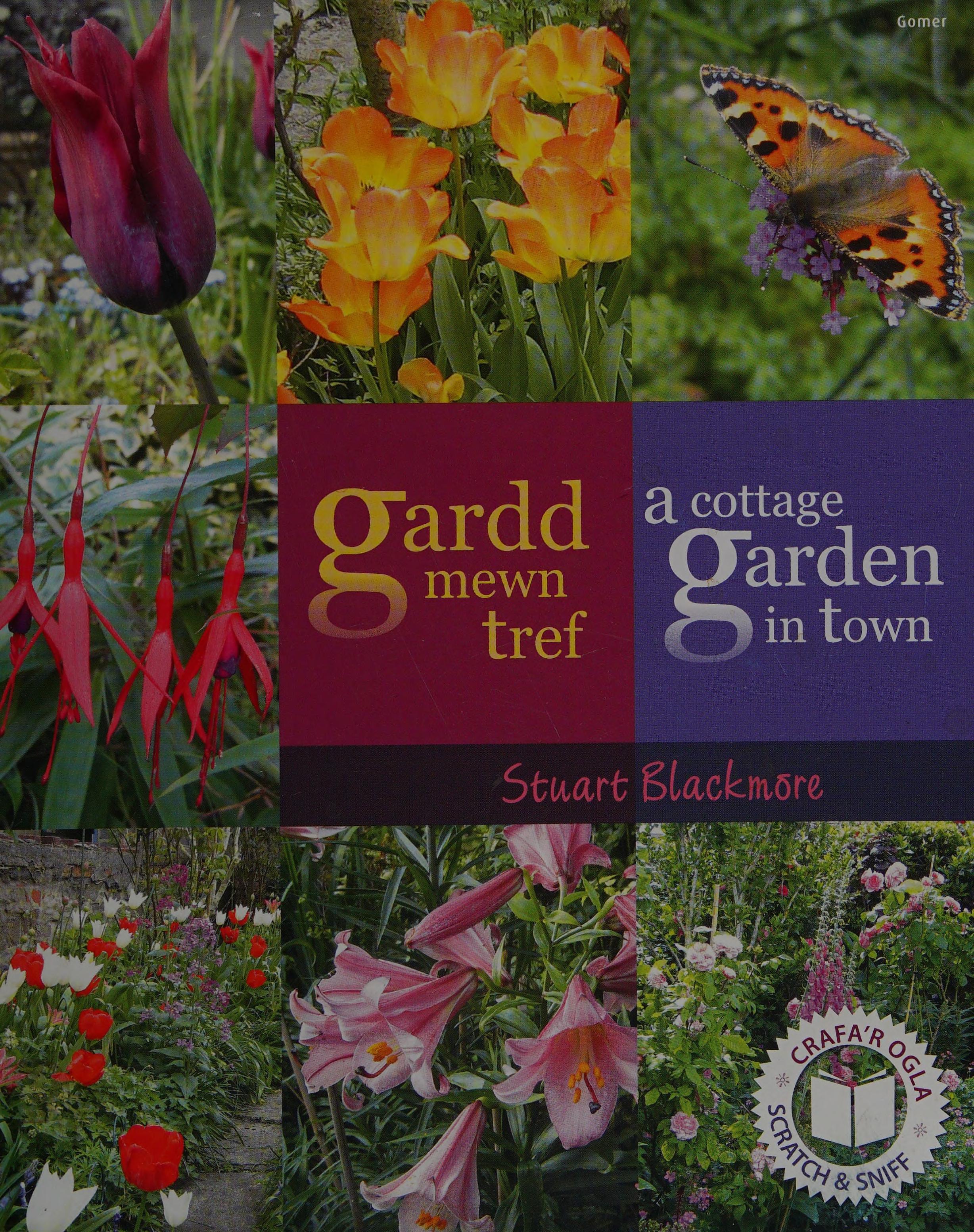 Gardd Mewn Tref/A Cottage Garden In Town