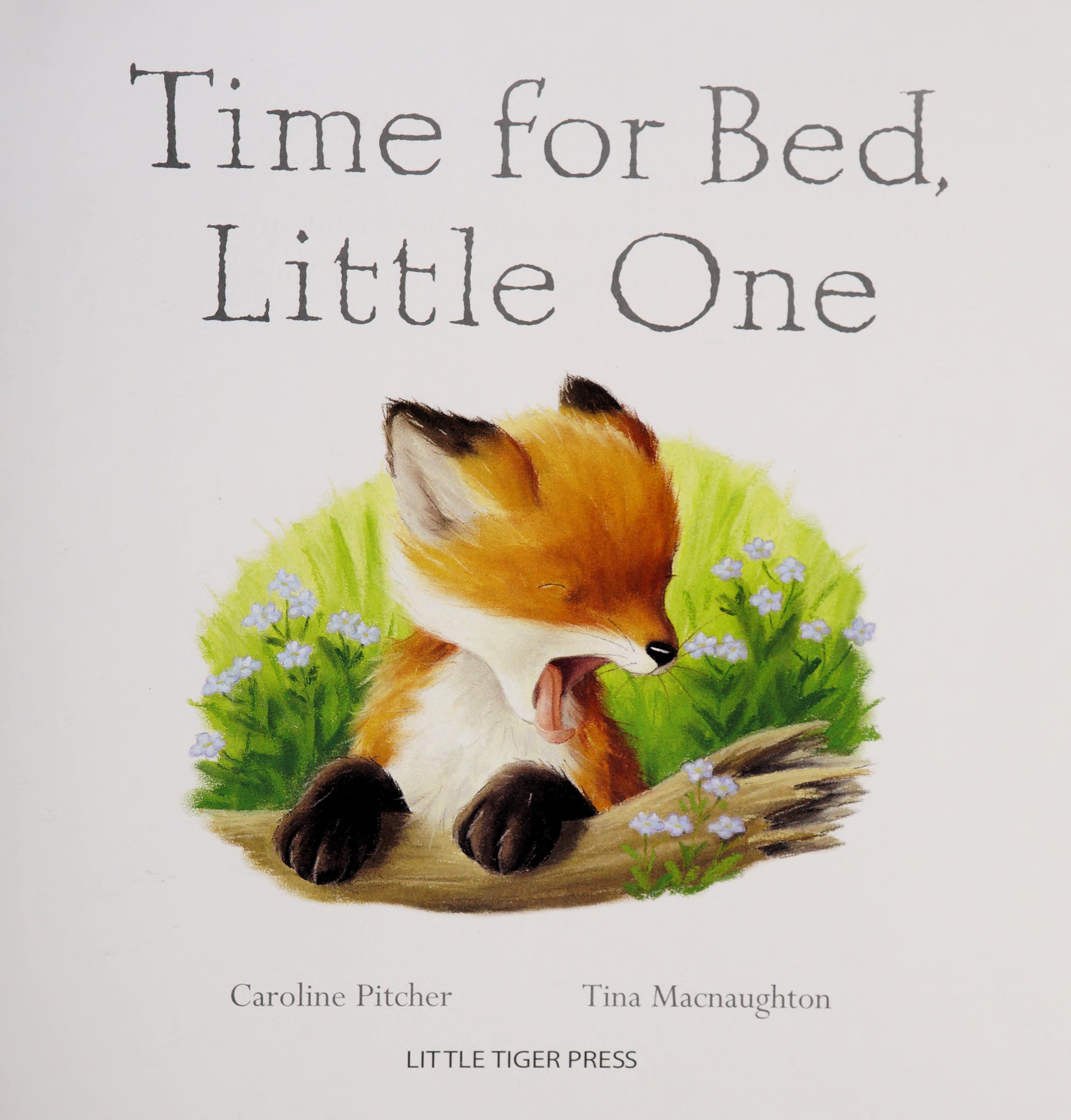 Time for Bed Little One