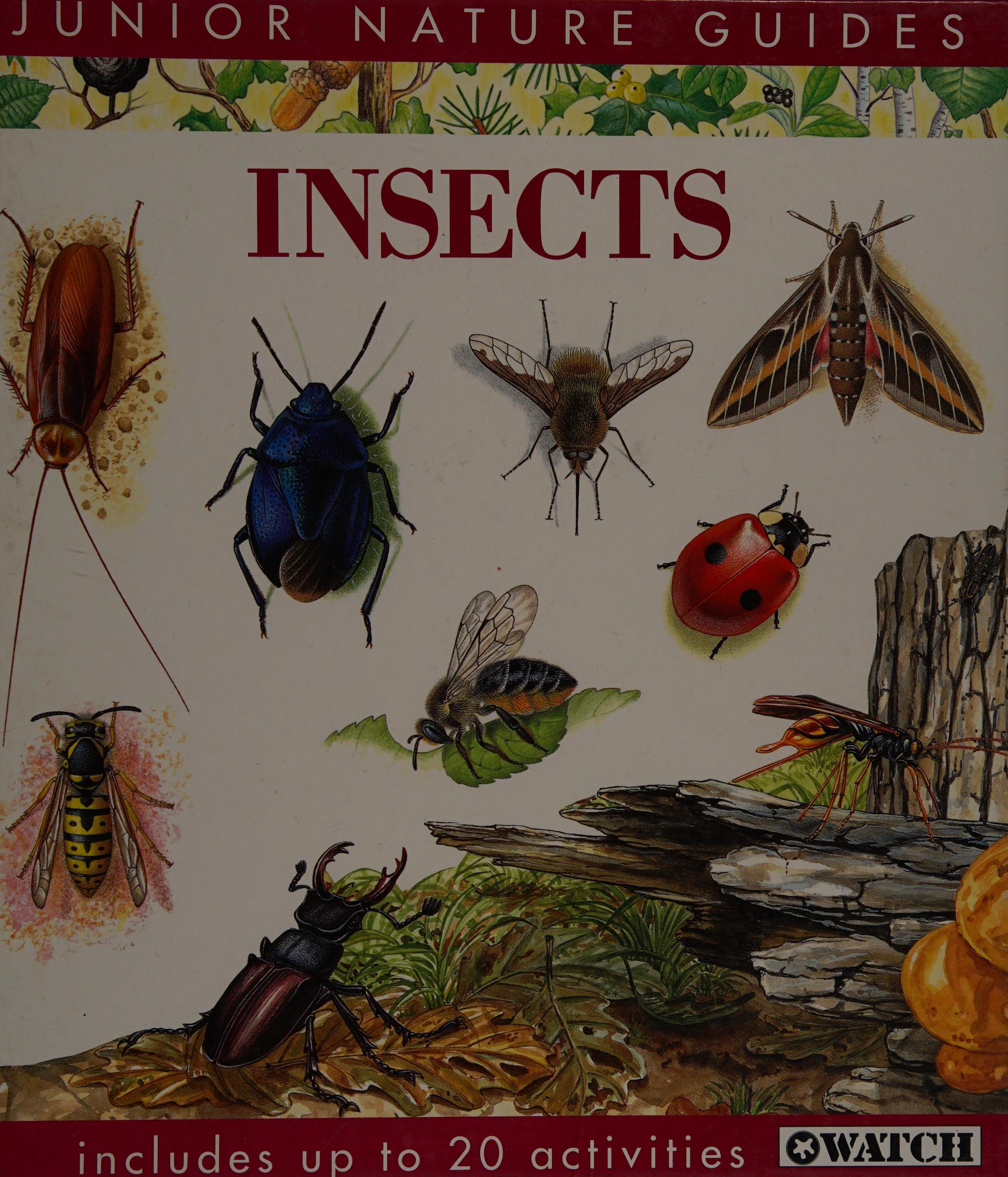 Insects of Great Britain & Europe