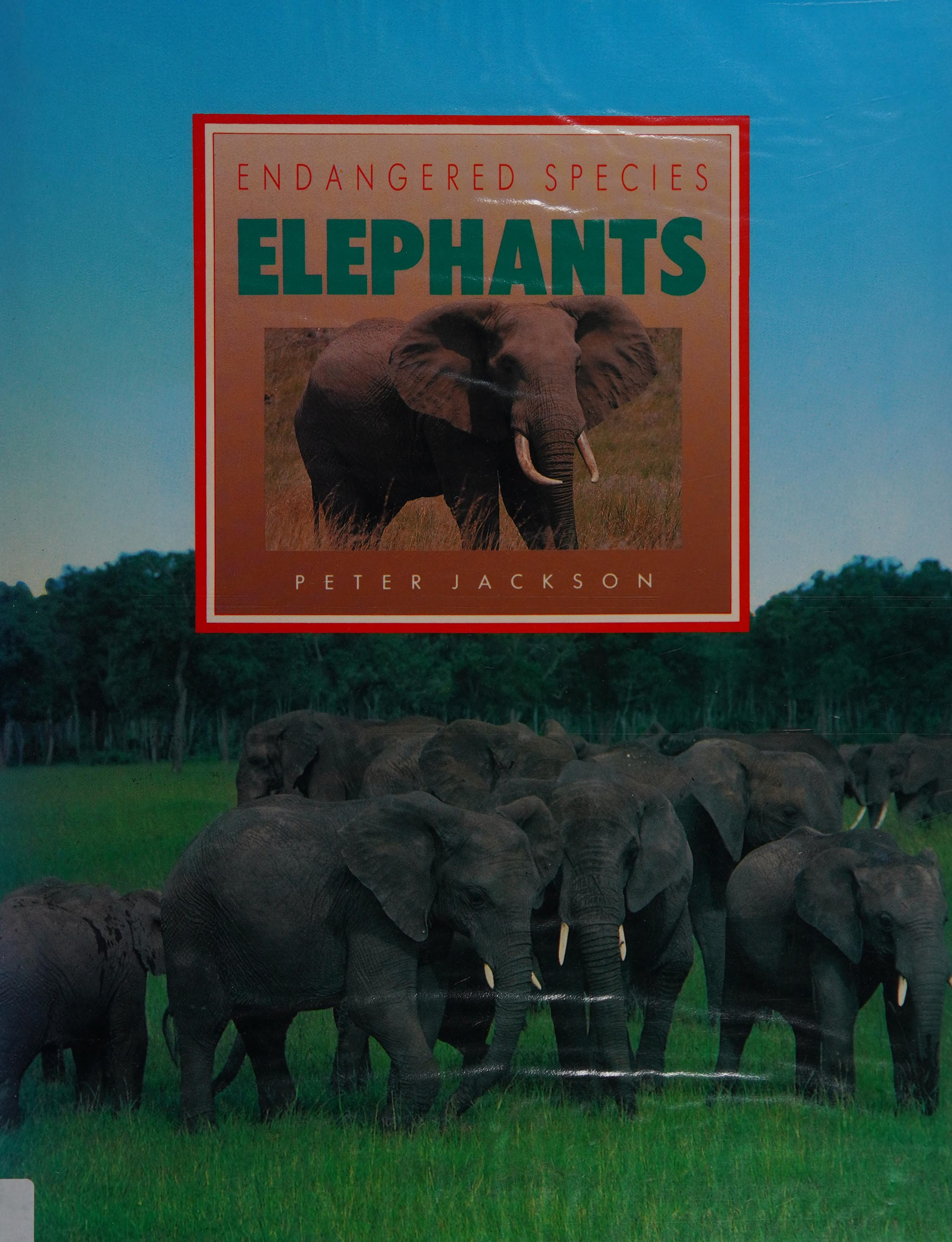 Elephants