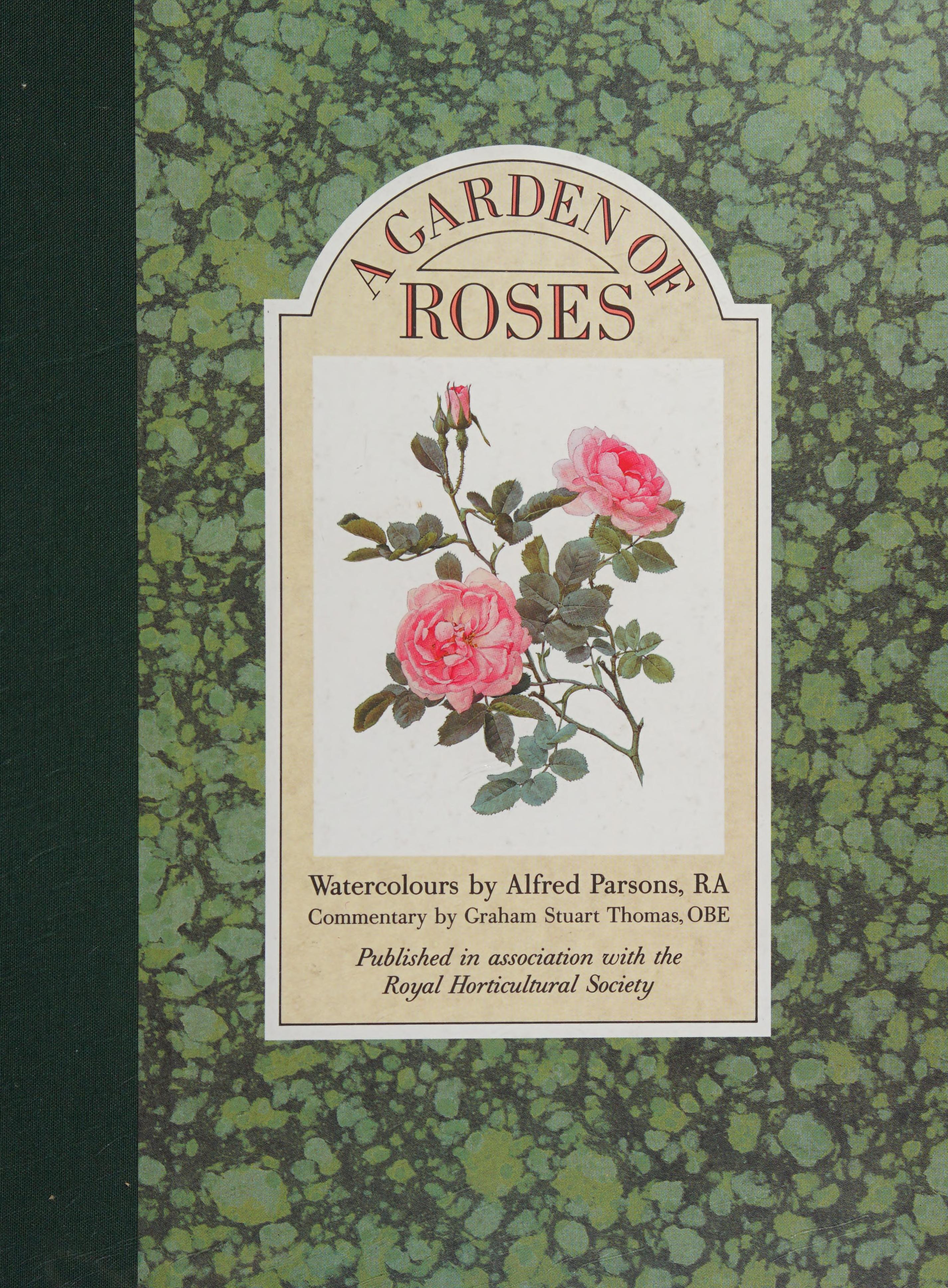 A Garden Of Roses