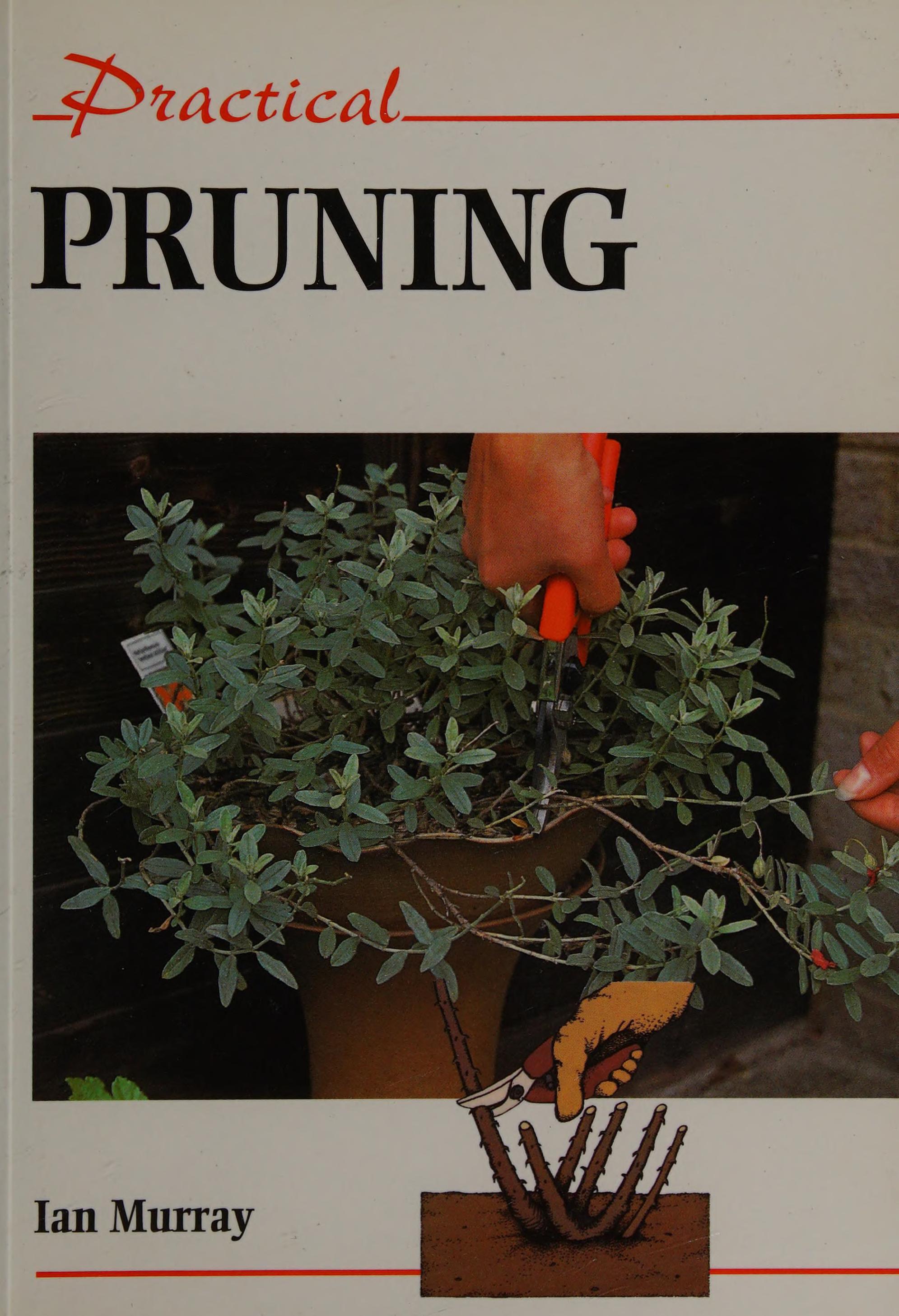 Practical Pruning