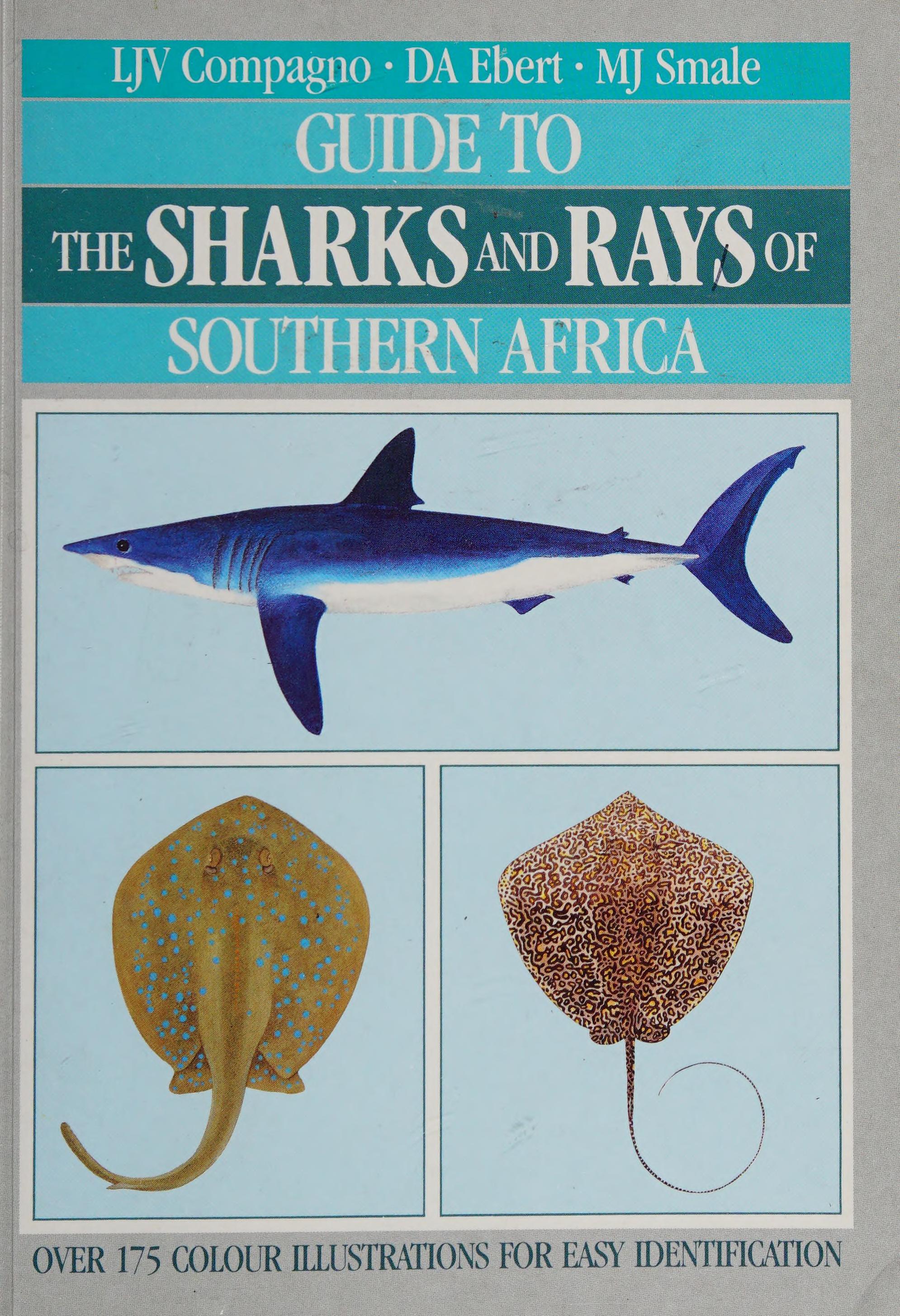 Guide To The Sharks And Rays Of Southern Africa