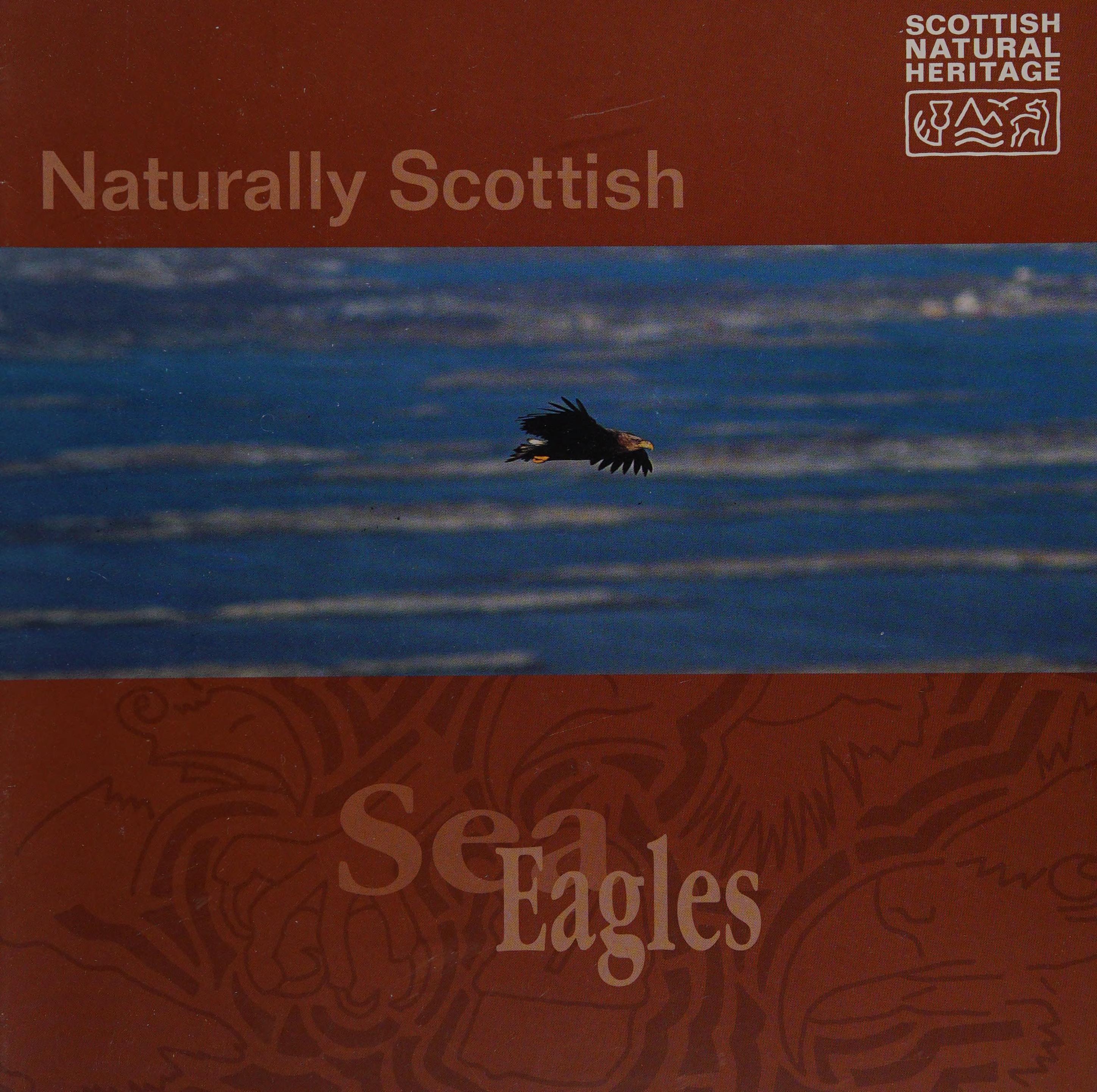 Sea Eagles