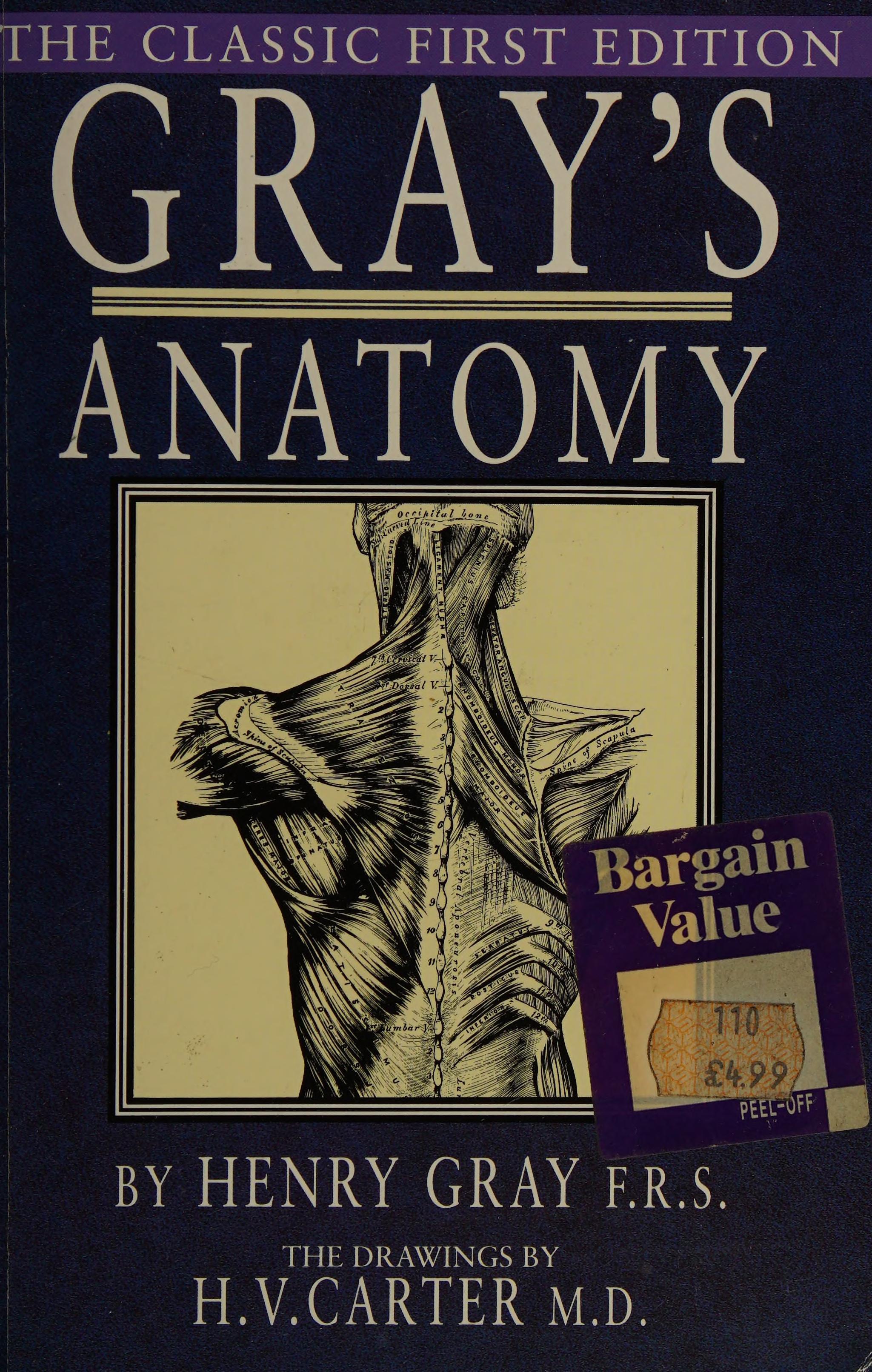 Gray's Anatomy