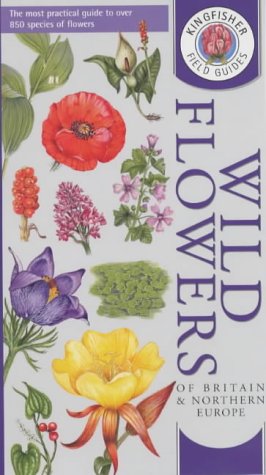 Wild Flowers Of Britain And Northern Europe