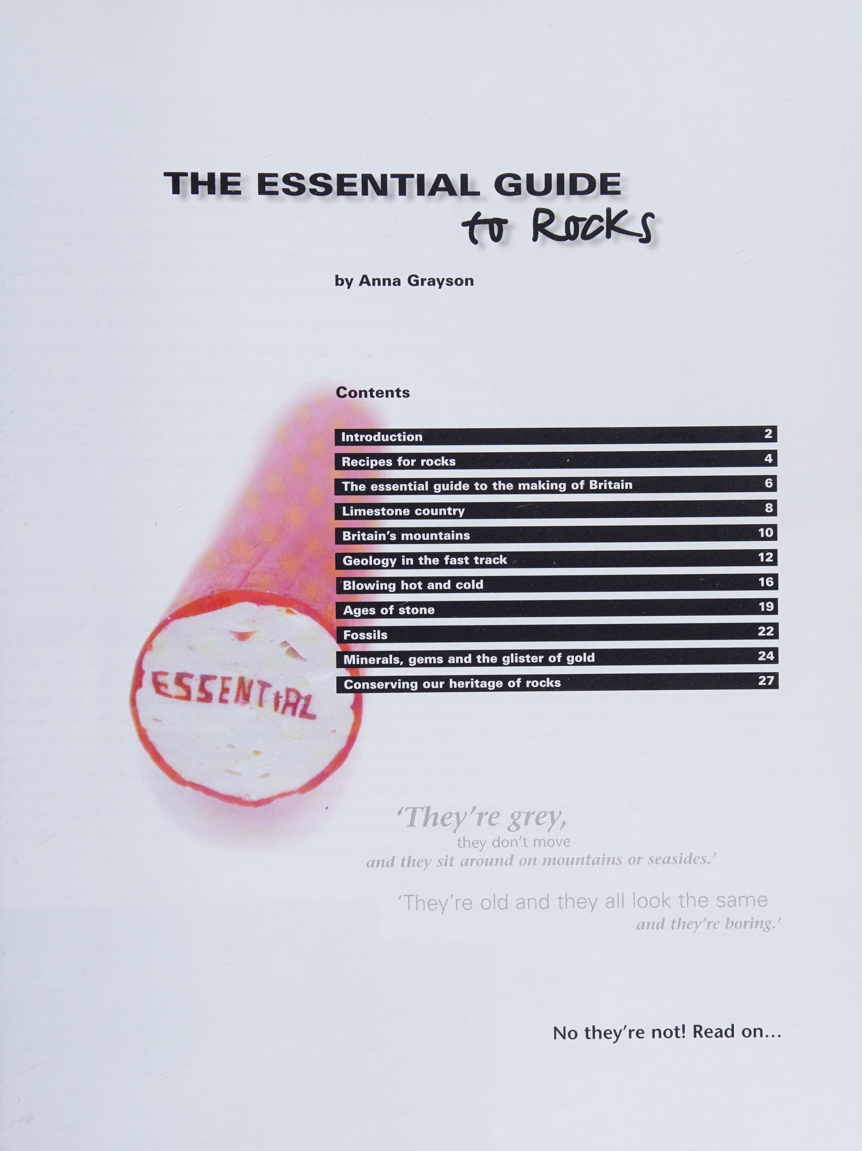 The Essential Guide to Rocks