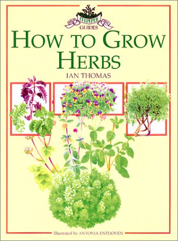 Growing With Herbs