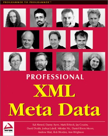 Professional XML Meta Data