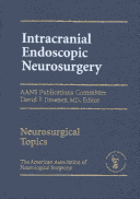 Interactive Image-Guided Neurosurgery