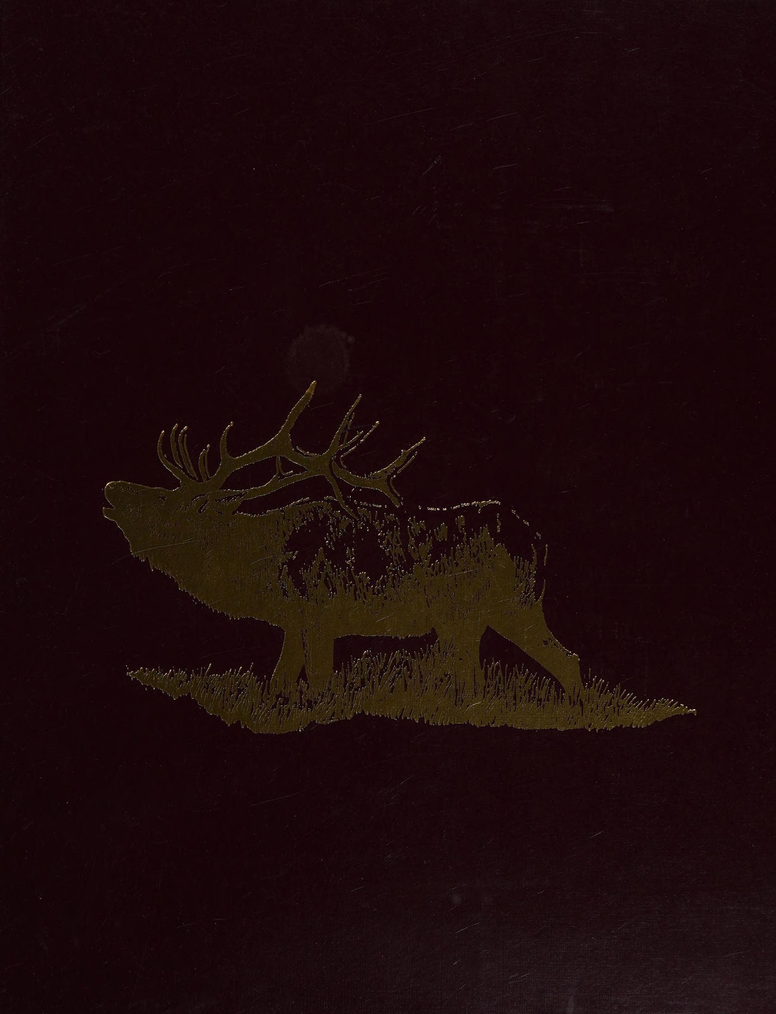 Twenty-First Big Game Awards Book, 1989-1991