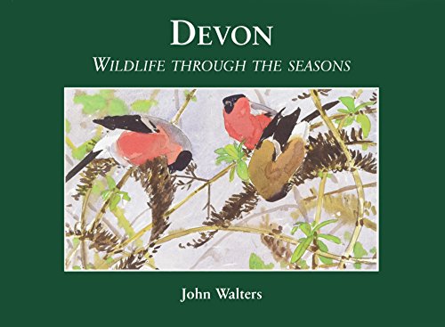 Devon Wildlife Through the Seasons