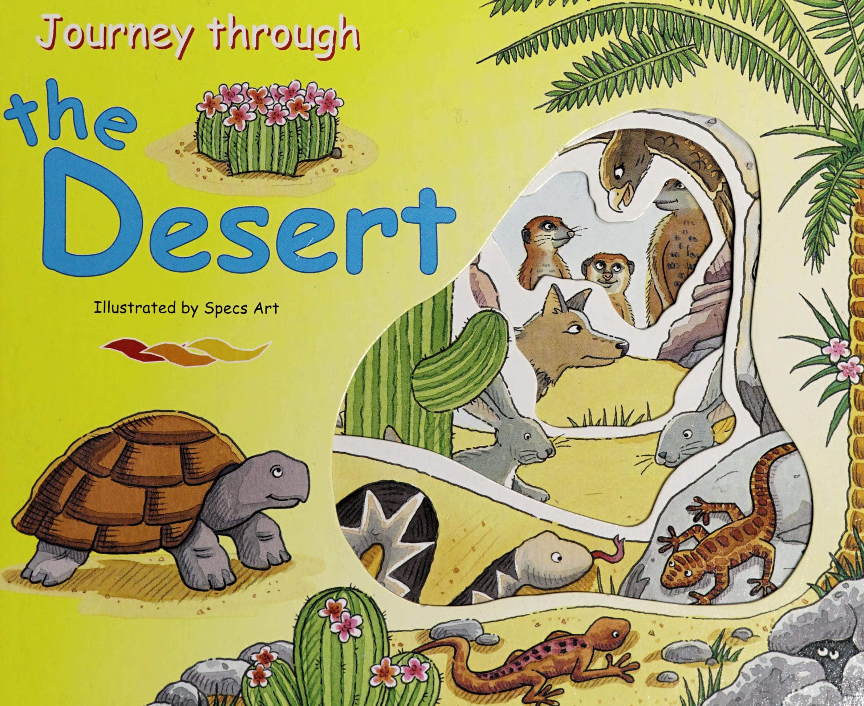 Journey Through The Desert
