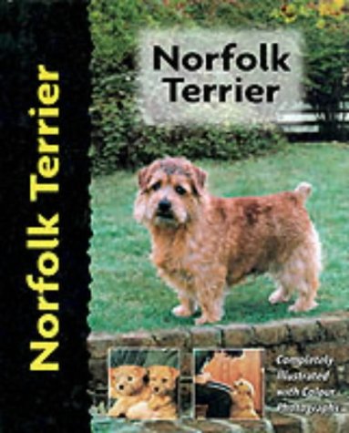 Norfolk Terrier