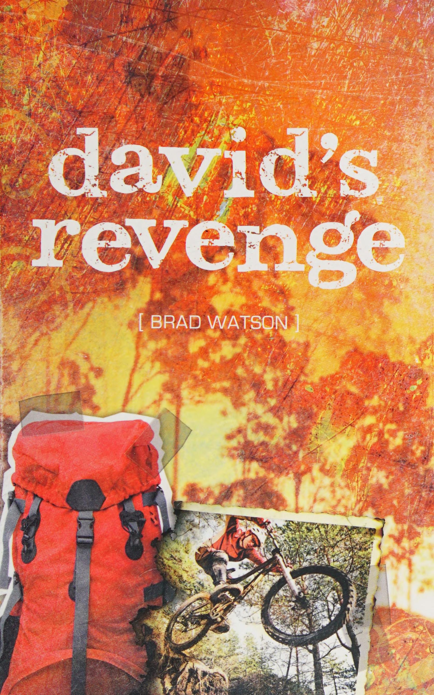 David's Revenge