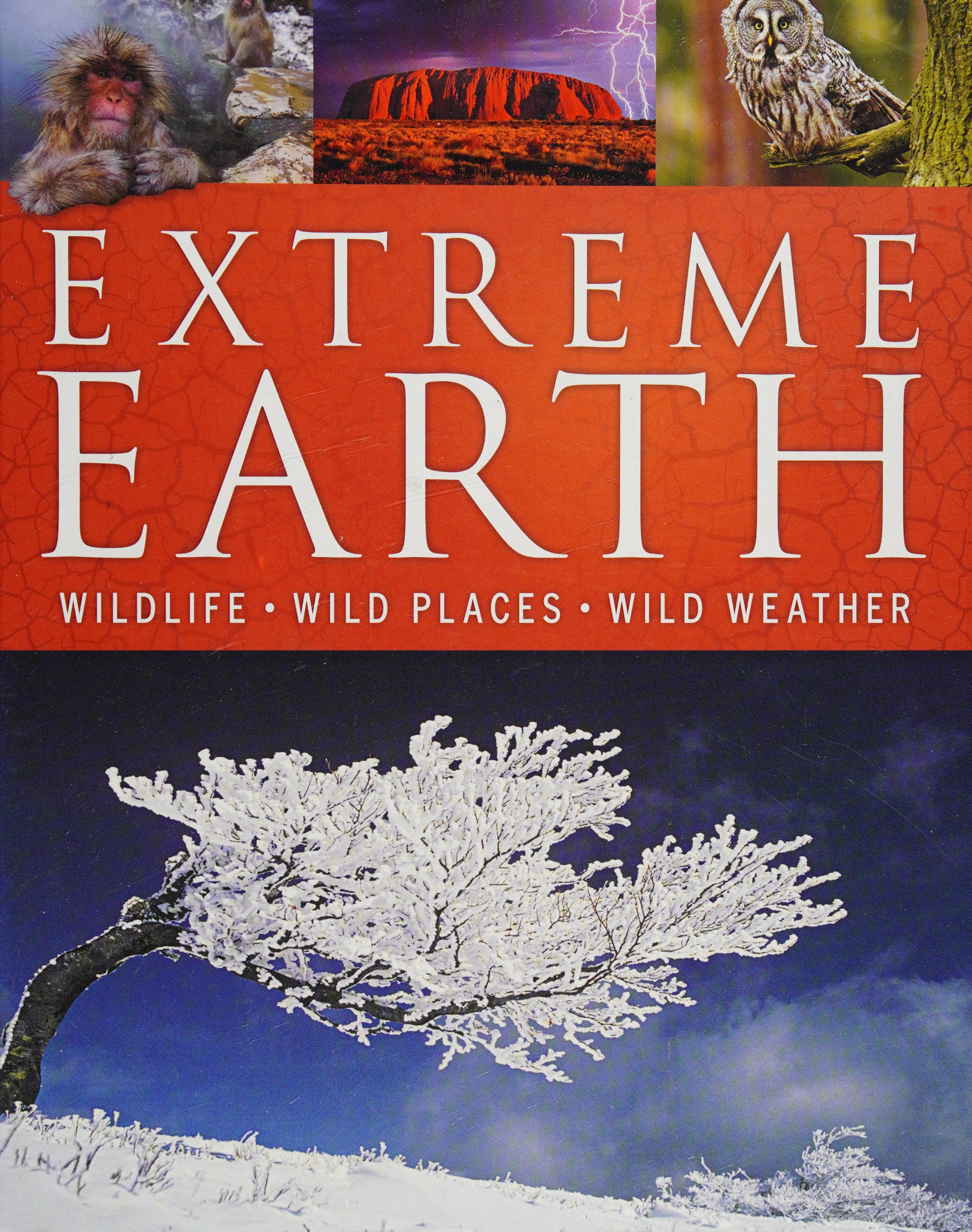 Extreme Earth