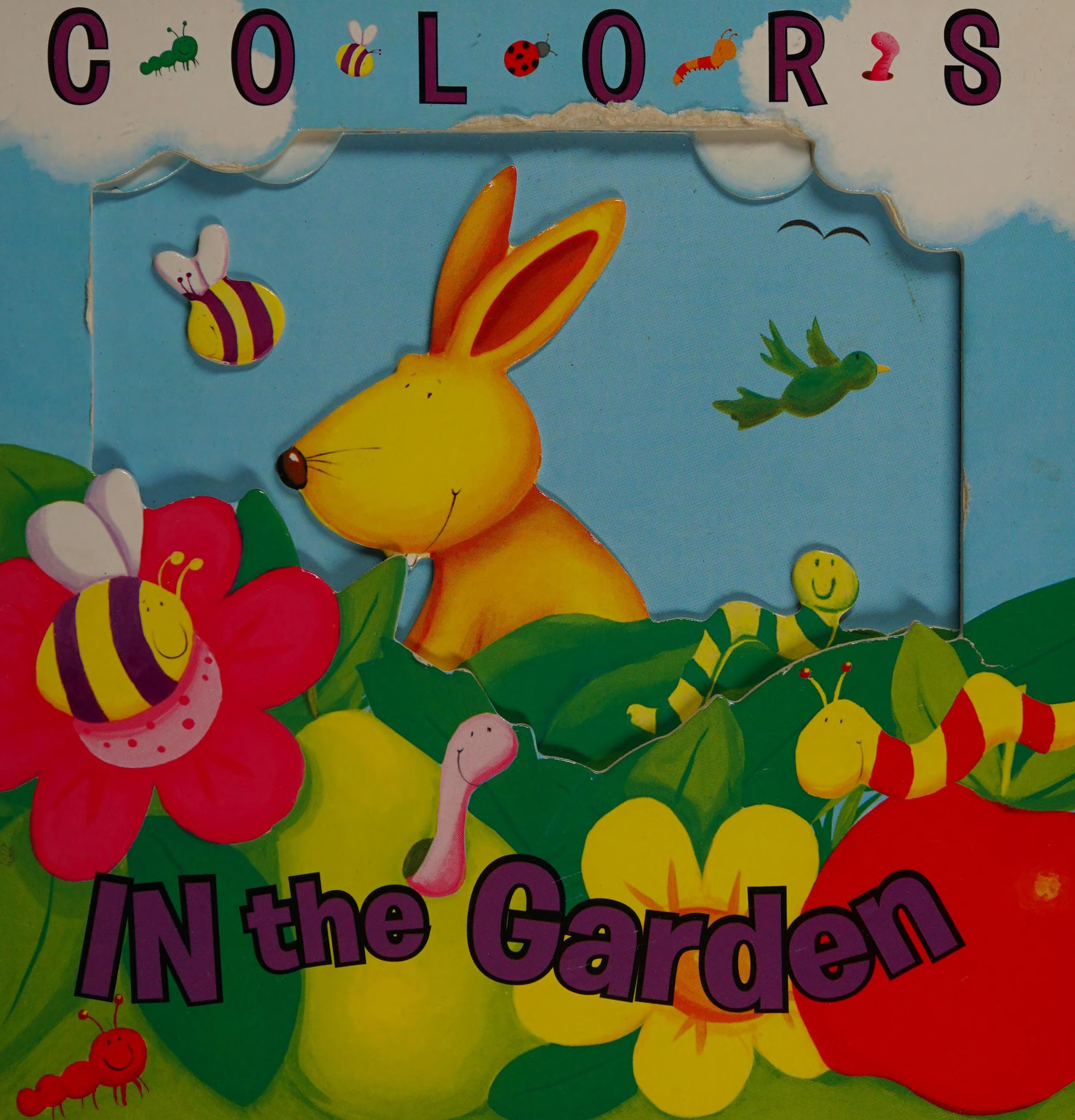 Colors in the garden