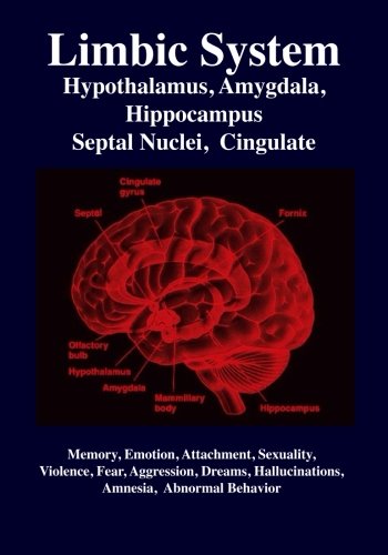 Limbic System Amygdala Hypothalamus Septal Nuclei Cingulate Hippocampus