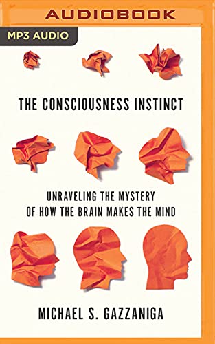 Consciousness Instinct, The
