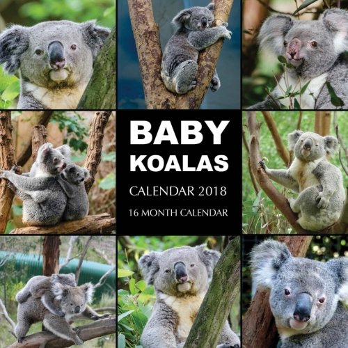 Baby Koalas Calendar 2018: 16 Month Calendar