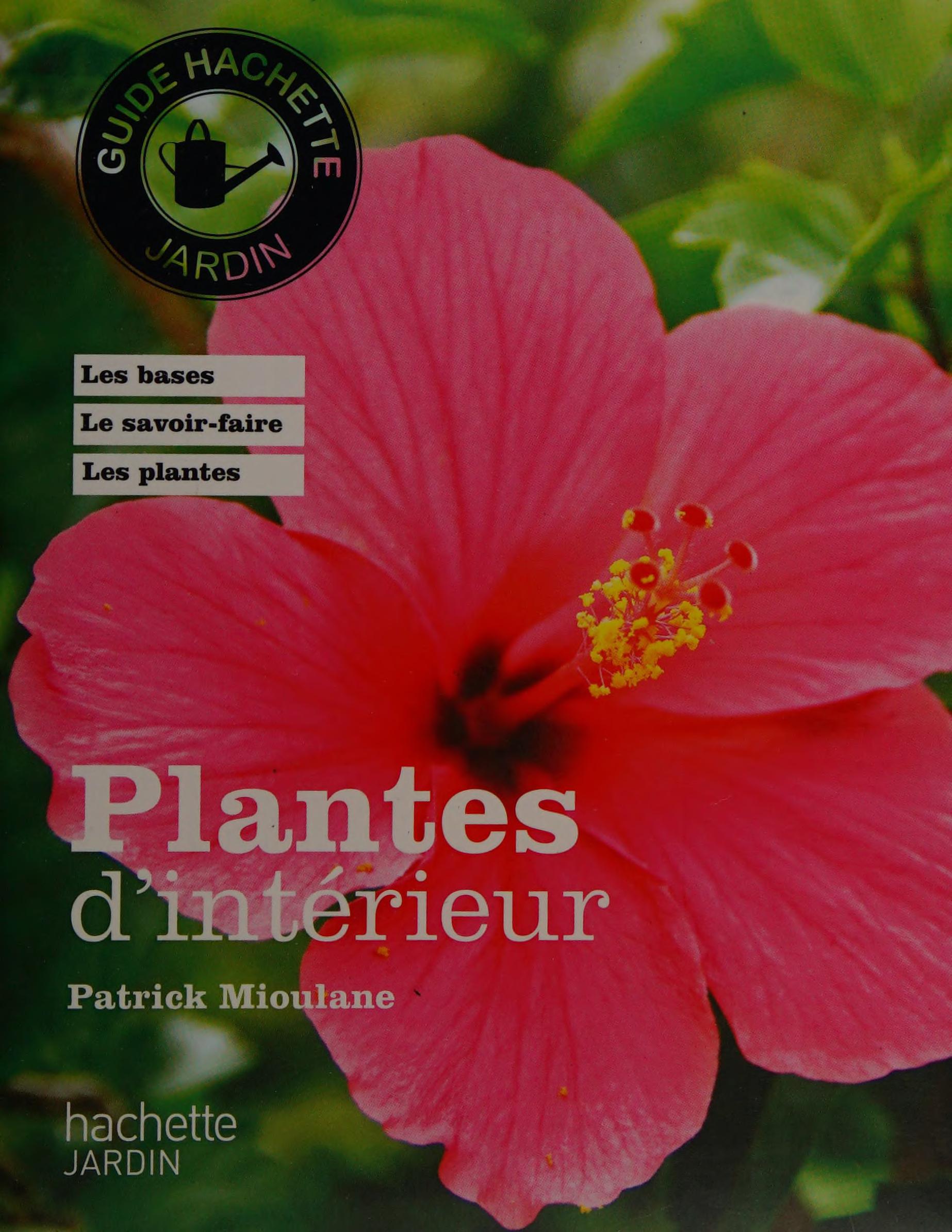 Plantes D'Intérieur
