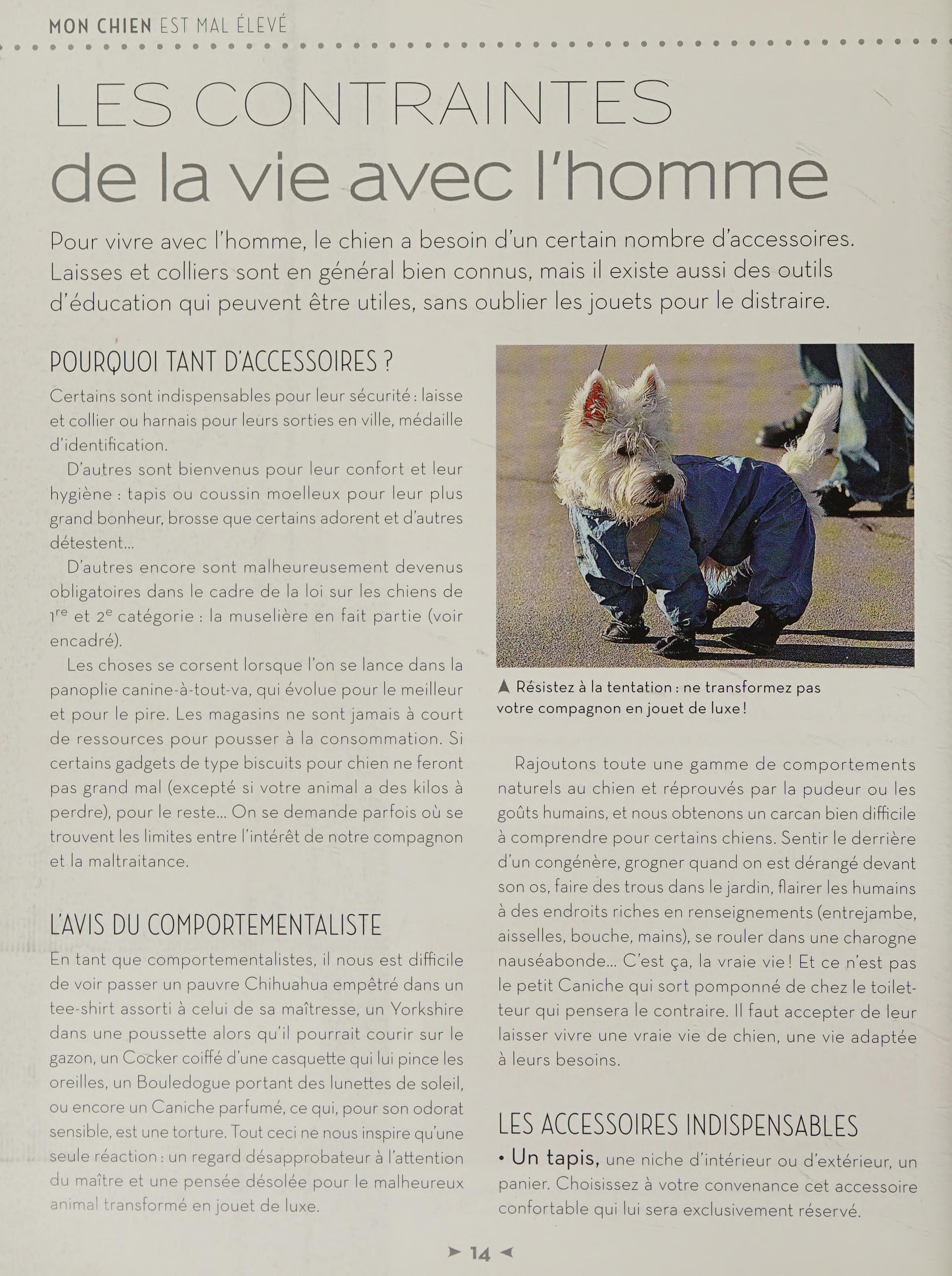 Mon Chien Est Mal Élevé !