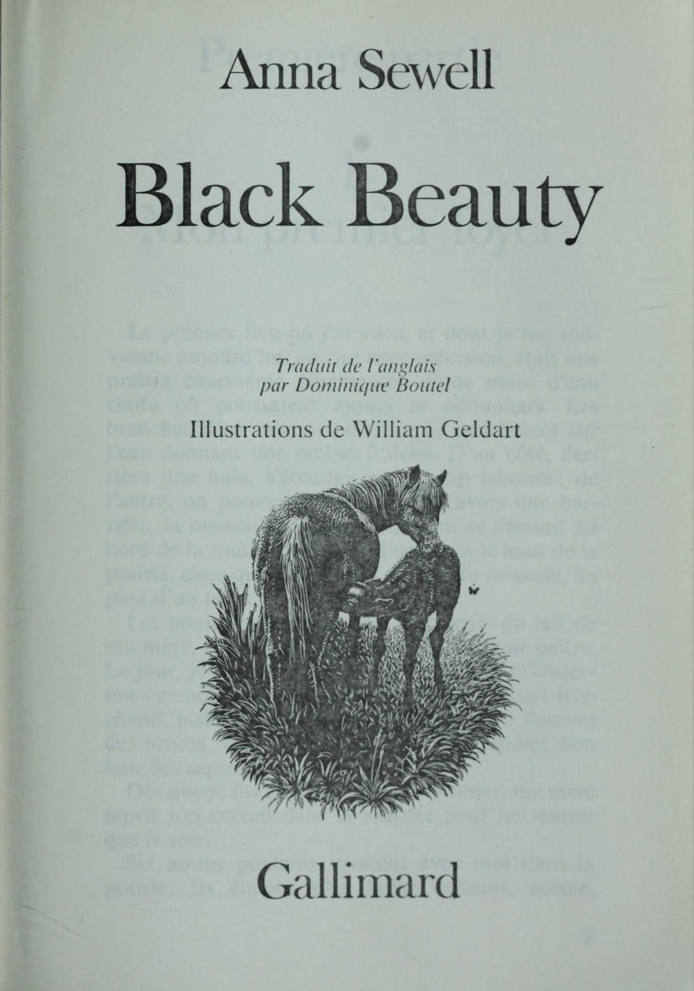 Black Beauty