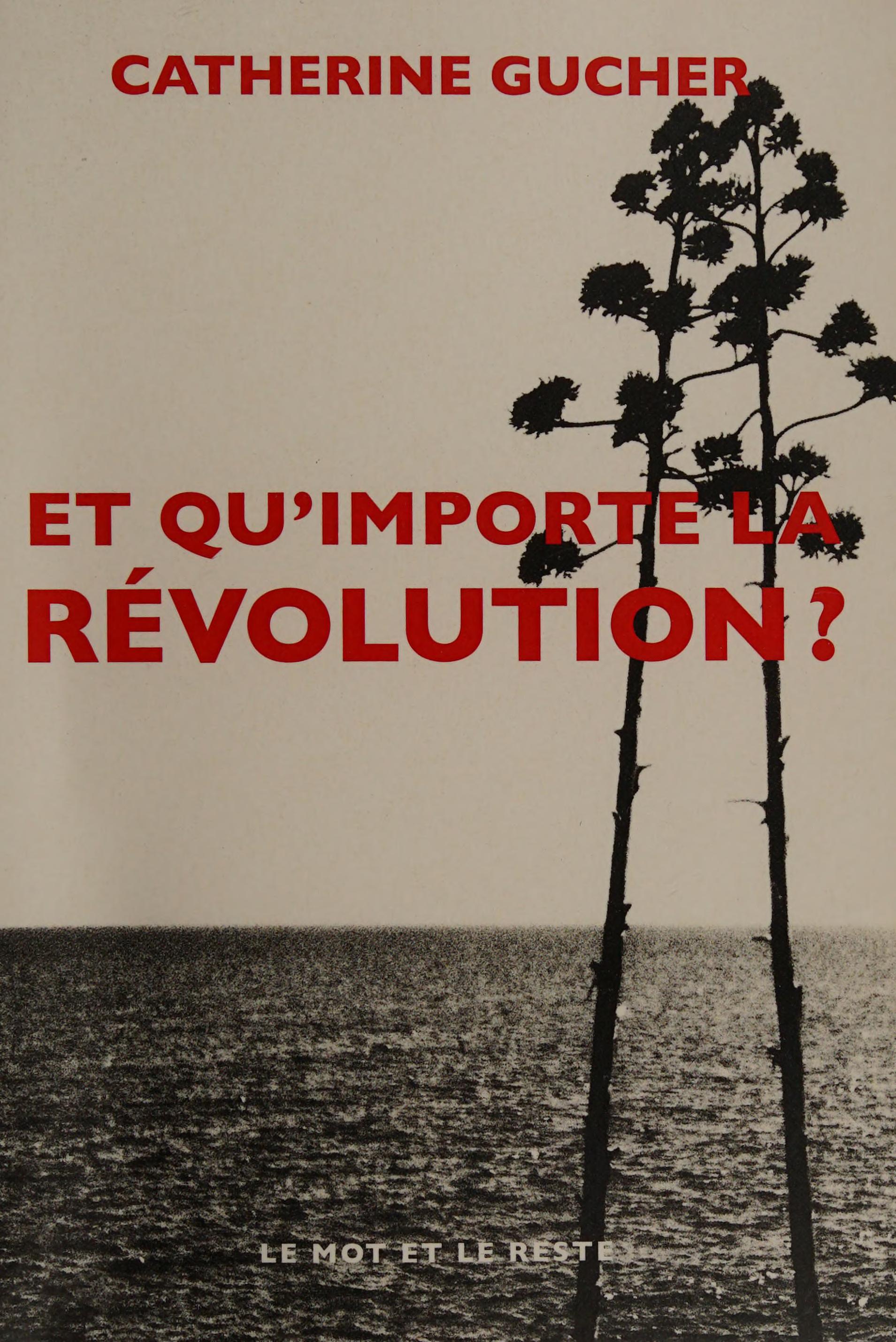 Et Qu'Importe La Révolution ?