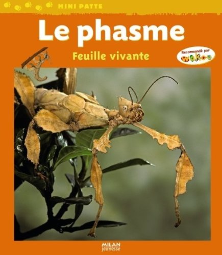 Phasme