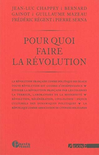 Pour quoi faire la revolution