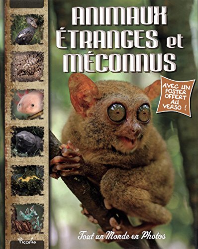 Animaux Étranges Et Méconnus