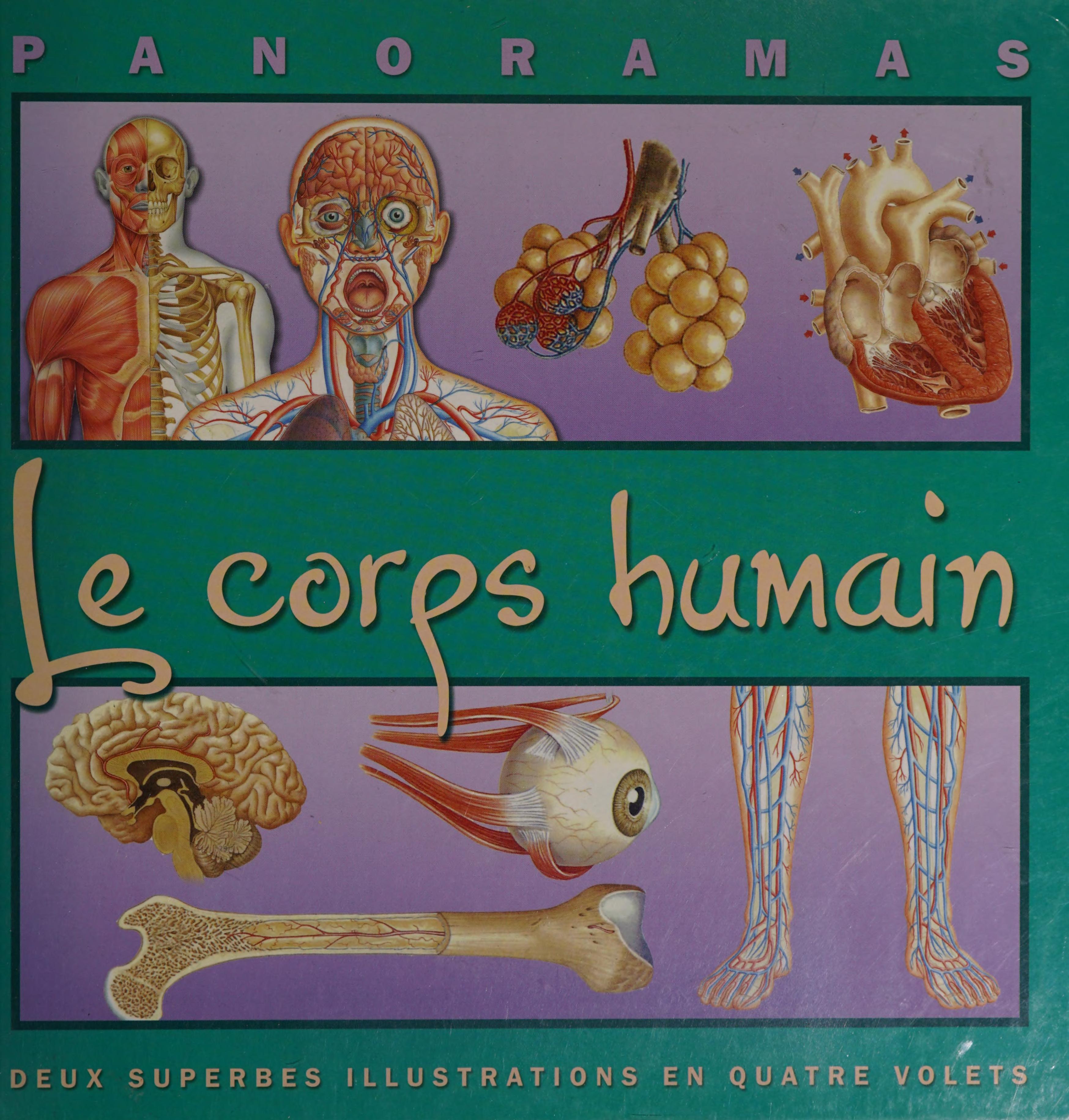 Le Corps Humain
