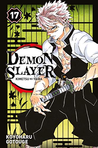 Demon Slayer T17 by Koyoharu Gotoge, ISBN 9782809496987