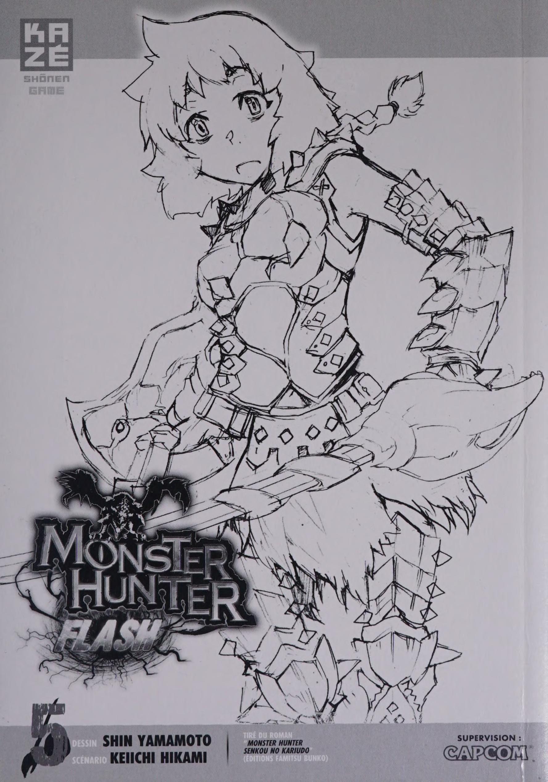Monster hunter flash