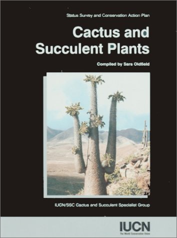 Cactus And Succulent Plants
