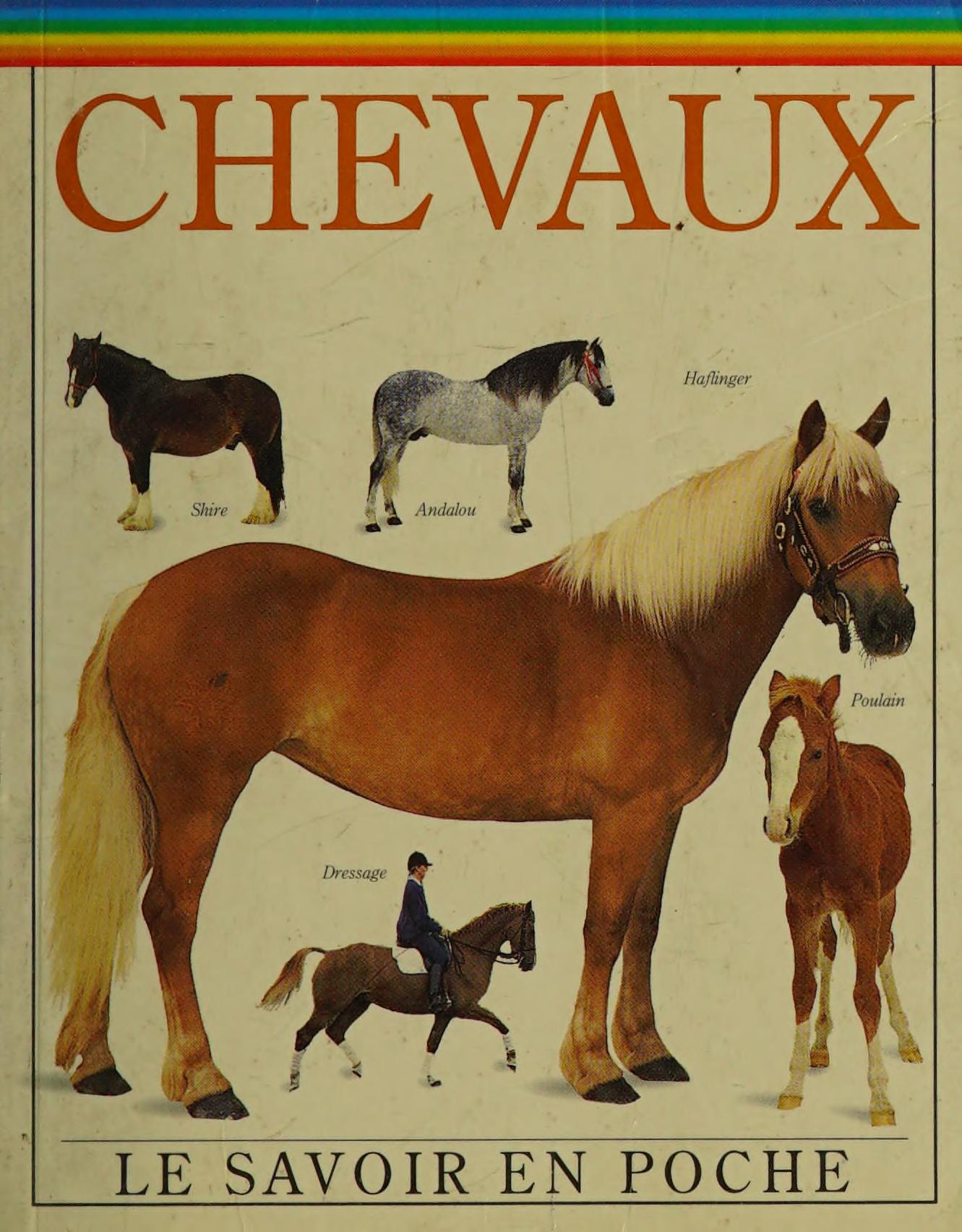 Chevaux