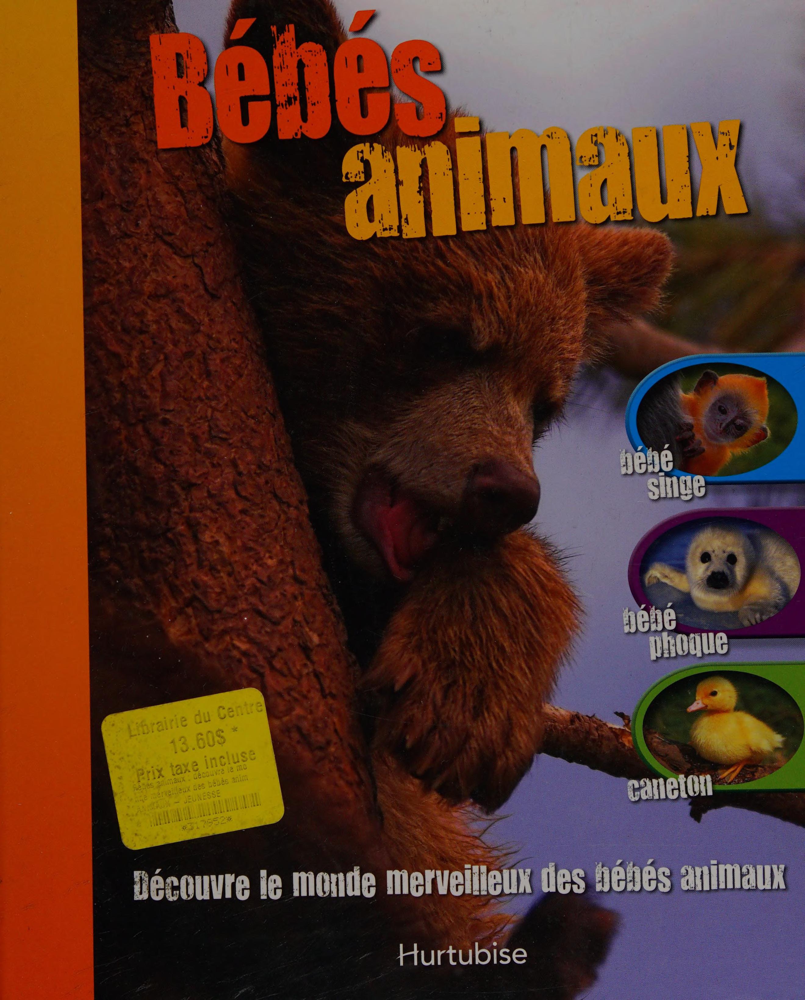 Bébés Animaux