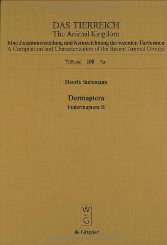 Dermaptera. Eudermaptera II