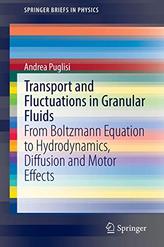 Transport and Fluctuations in Granular Fluids