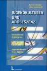 Jugendkulturen Und Adoleszenz. Verstehende Zugänge Zu Jugendlichen in Ihren Szenen.