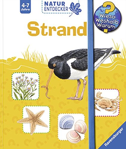 WWW Naturentdecker Strand